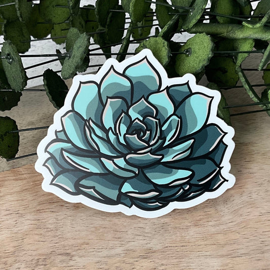 Succy Succulent Sticker 1