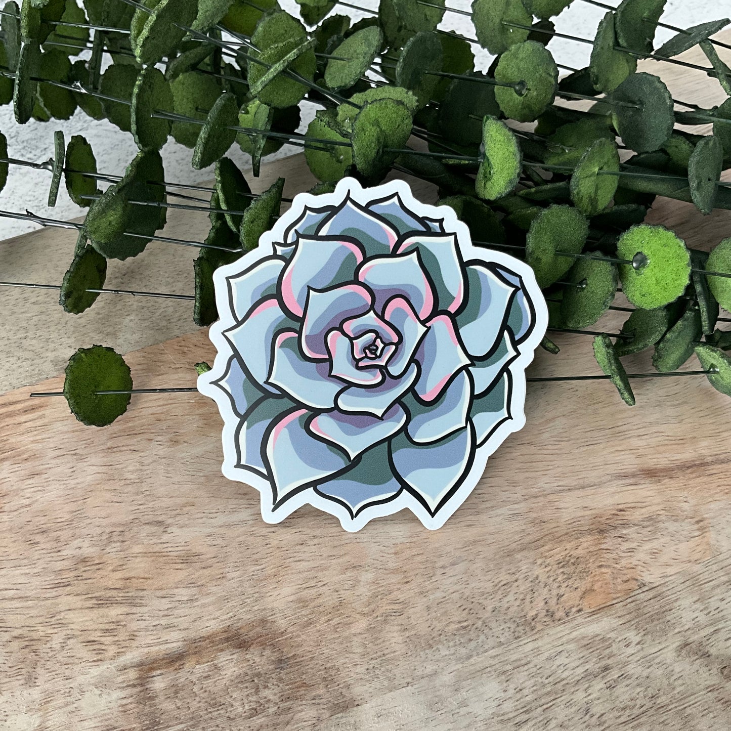 Succy Succulent Sticker Set