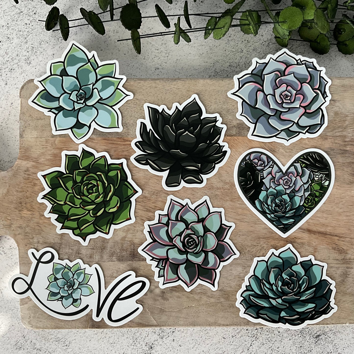 Succy Succulent Sticker Set