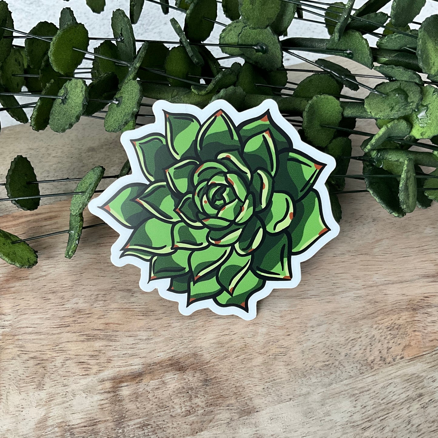 Succy Succulent Sticker Set