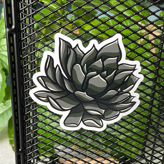 Succy Succulent Magnet 3