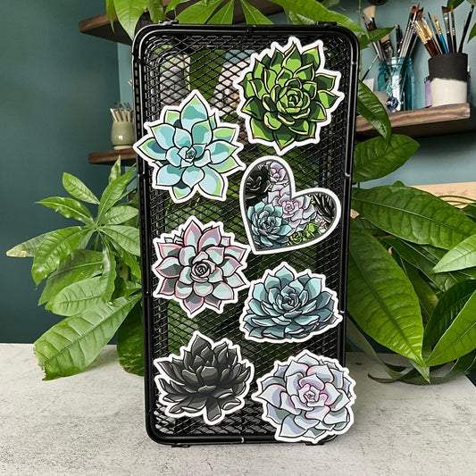 Succy Succulent Magnet 1