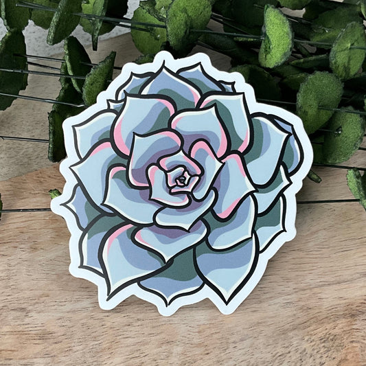 Succy Succulent Sticker 4