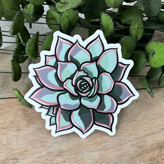 Succy Succulent Sticker 2