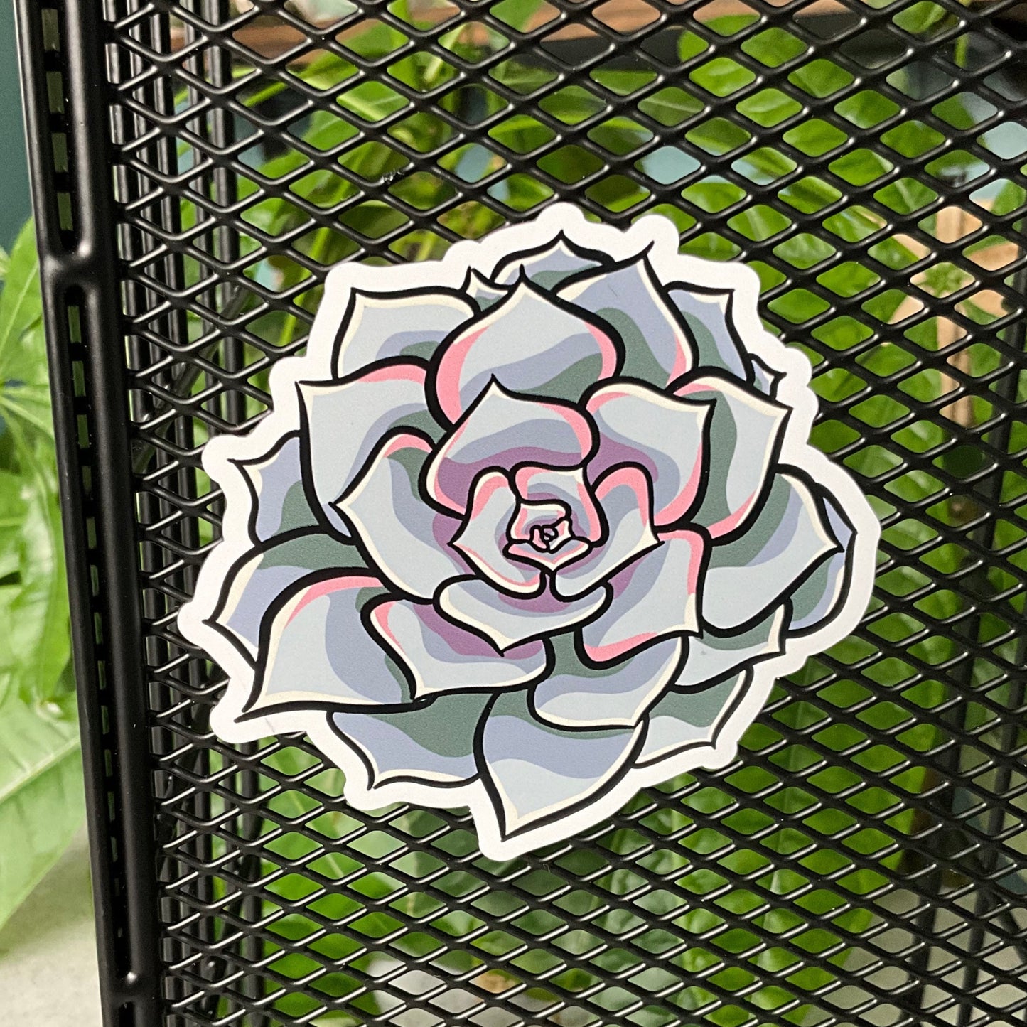 Succy Succulent Magnet 4