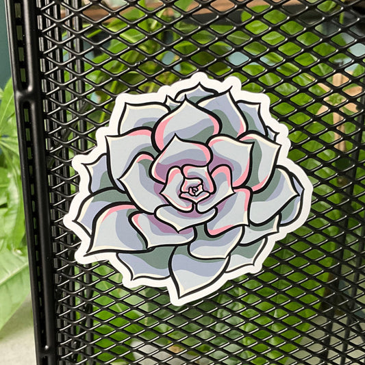 Succy Succulent Magnet 4