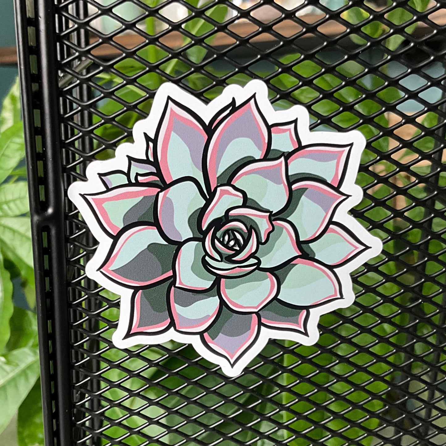 Succy Succulent Magnet 2