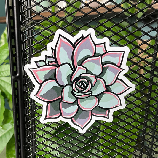 Succy Succulent Magnet 2