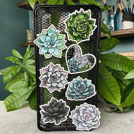 Succy Succulent Magnet Set