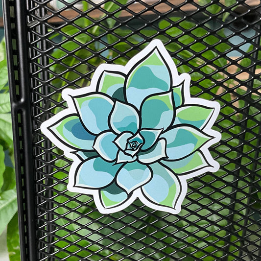 Succy Succulent Magnet 5