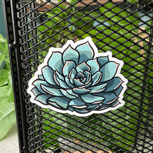Succy Succulent Magnet 1