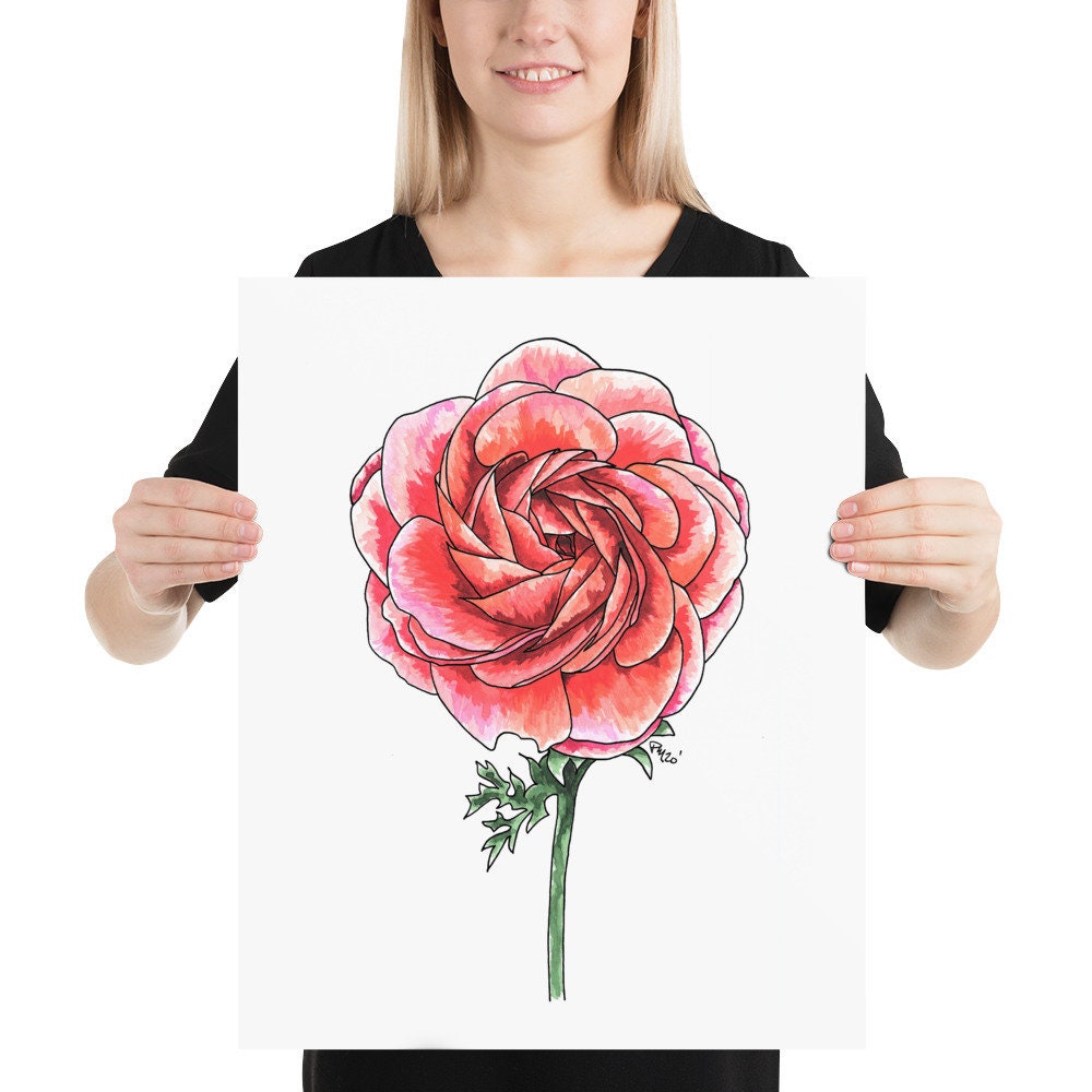 Ranunculus Watercolor Print