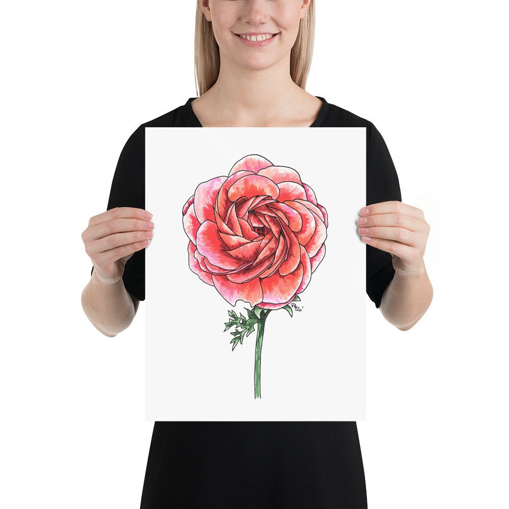 Ranunculus Watercolor Print