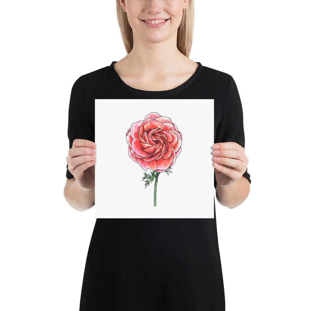 Ranunculus Watercolor Print