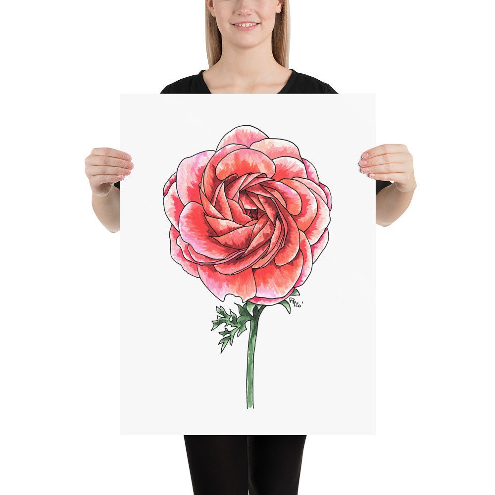 Ranunculus Watercolor Print