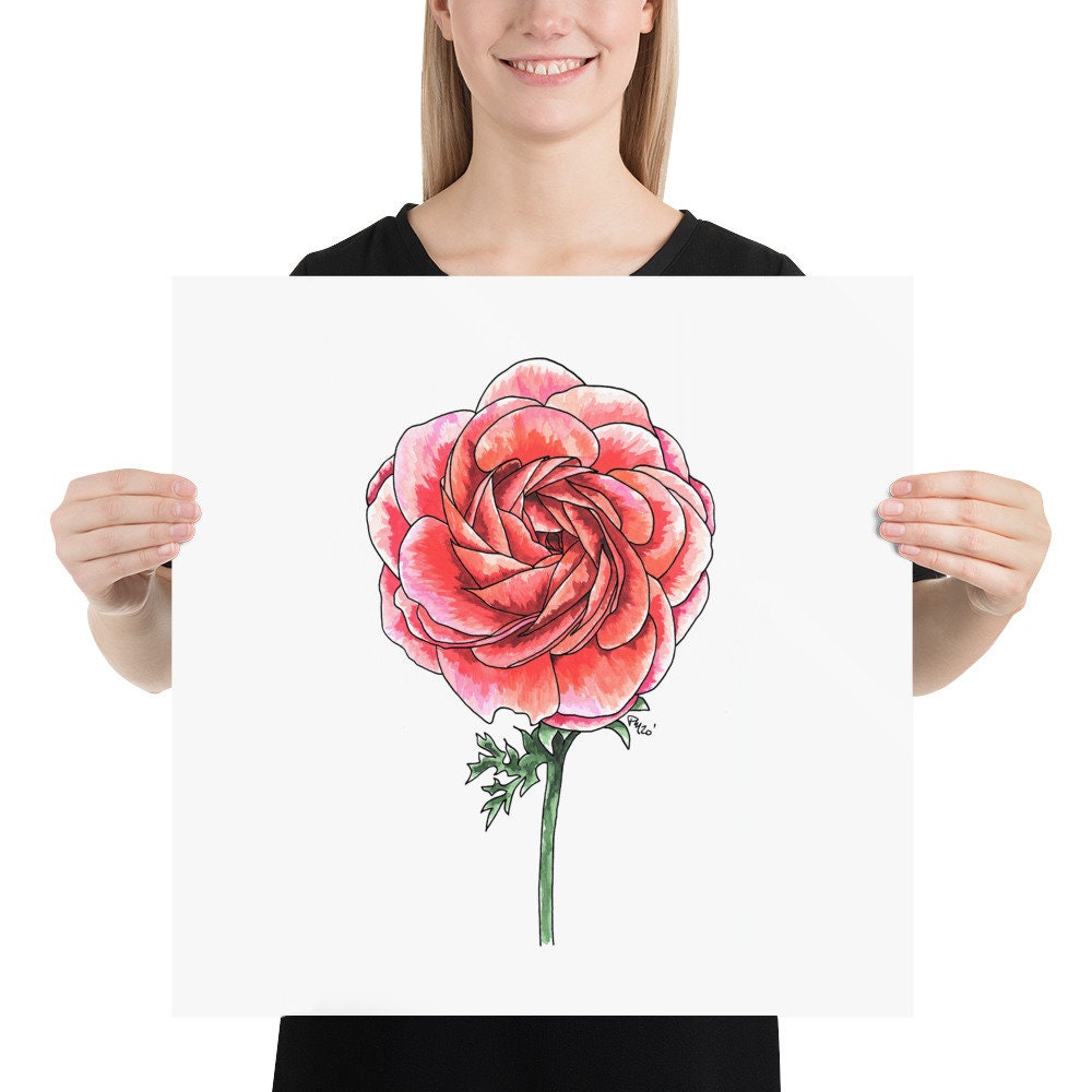 Ranunculus Watercolor Print