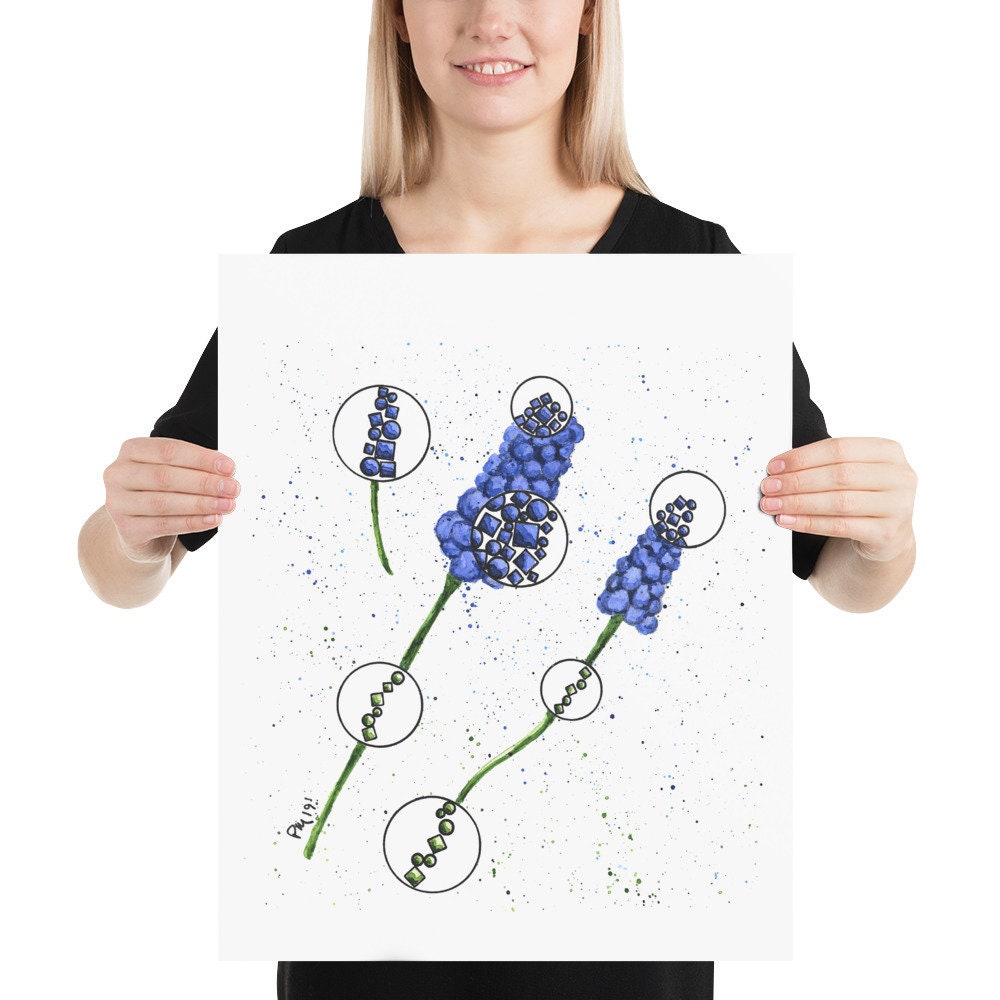 Muscari Watercolor Painting