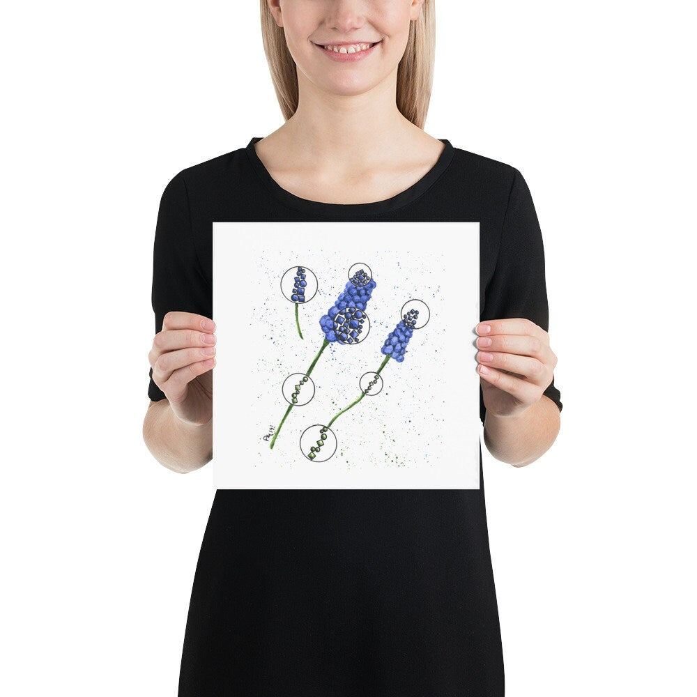 Muscari Watercolor Painting