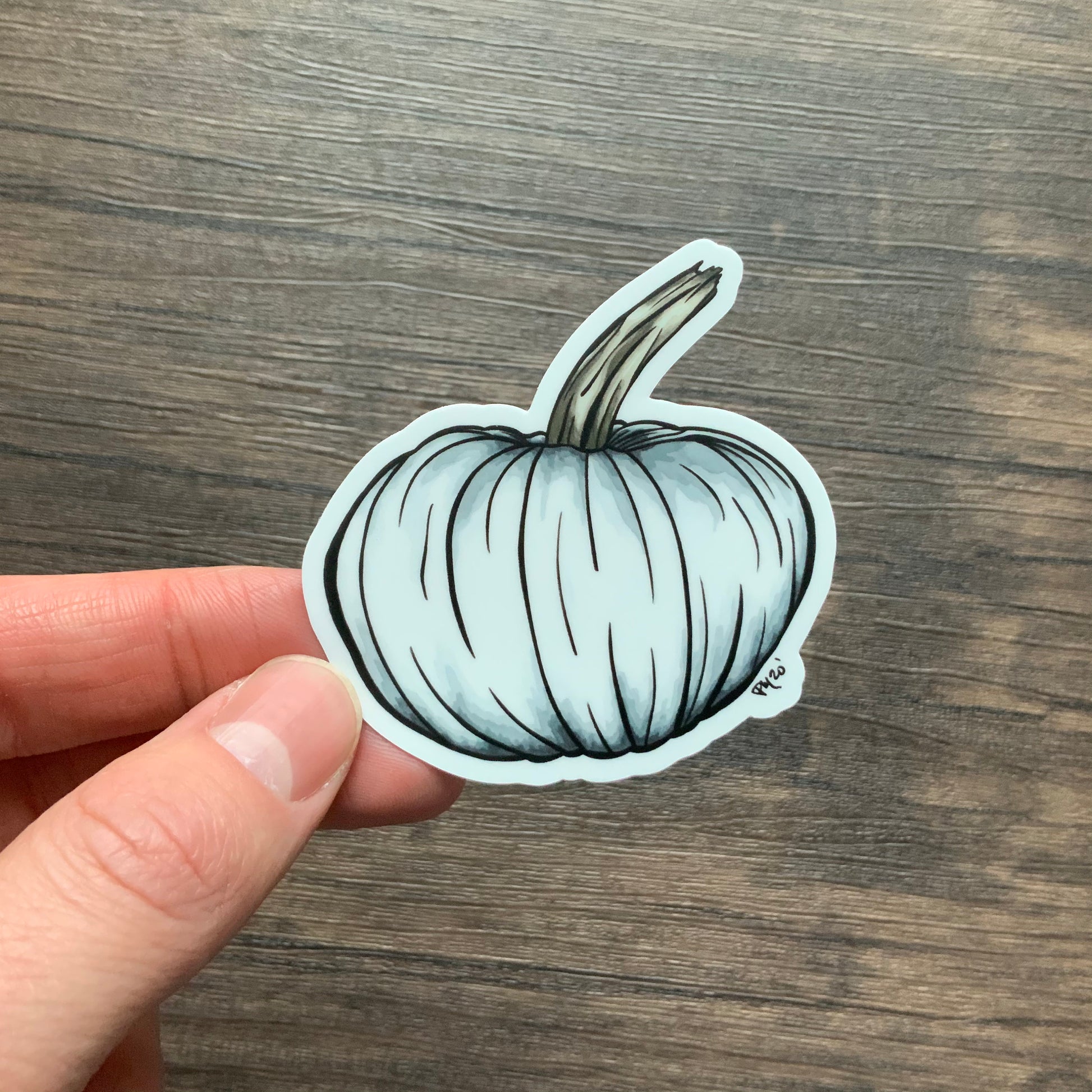 Colorful Pumpkins Vinyl Sticker Set