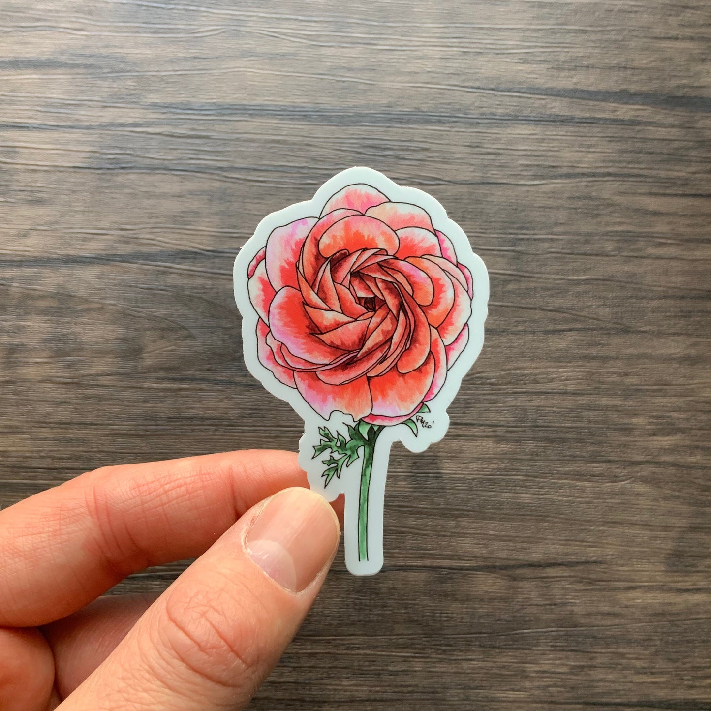 Ranunculus Vinyl Sticker