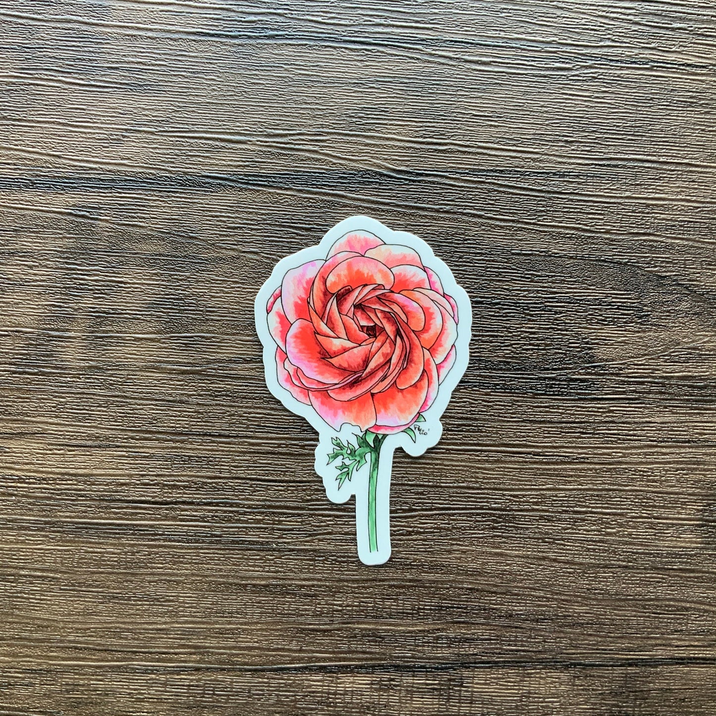 Ranunculus Vinyl Sticker
