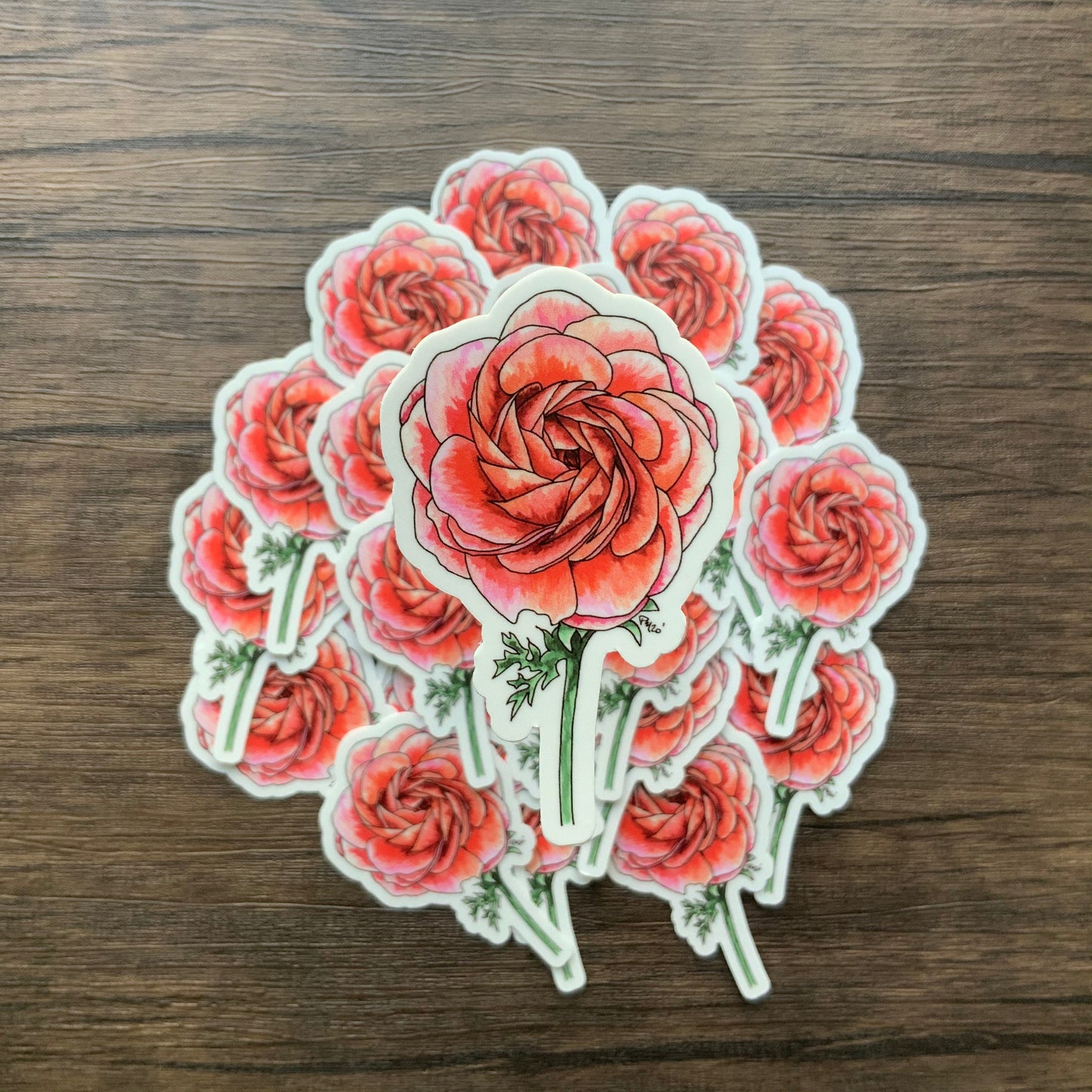Ranunculus Vinyl Sticker