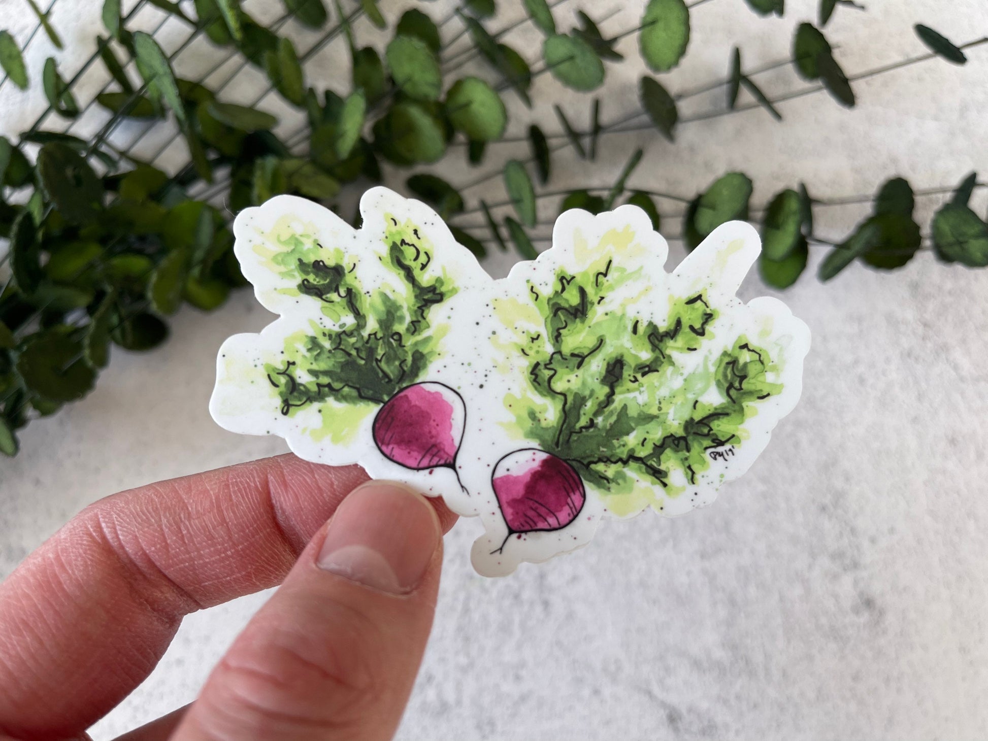 Radish Vinyl Sticker