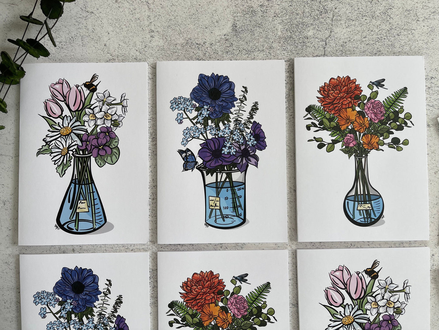 Science Bouquet Mixed Greeting Card Set