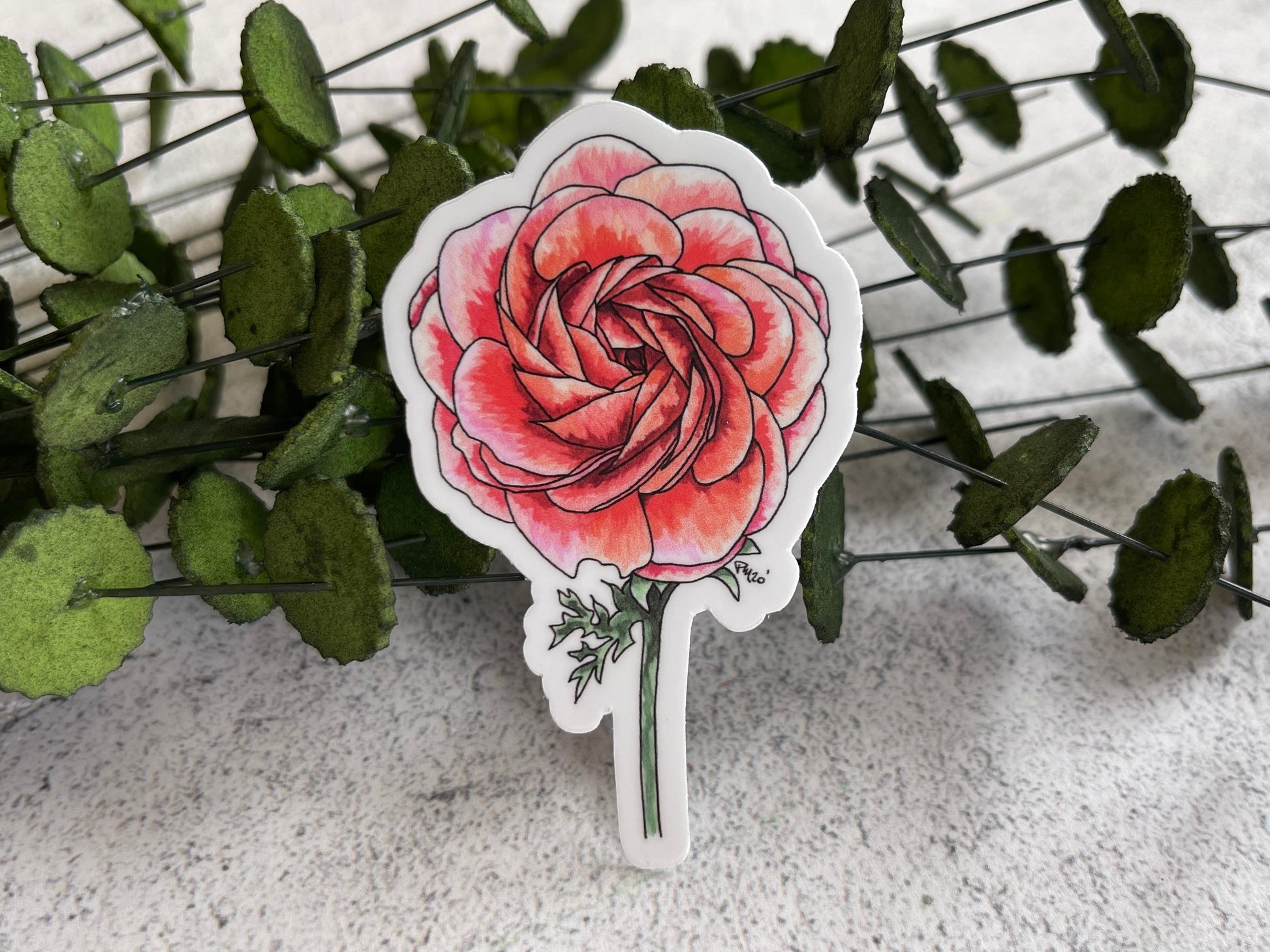 Ranunculus Vinyl Sticker