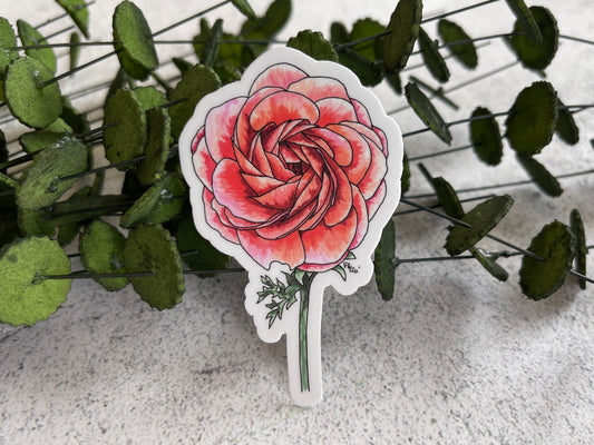 Ranunculus Vinyl Sticker