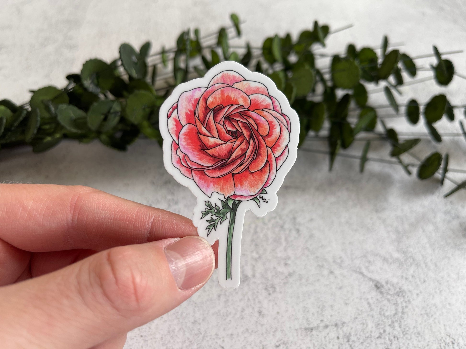 Ranunculus Vinyl Sticker