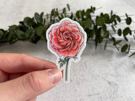 Ranunculus Vinyl Sticker