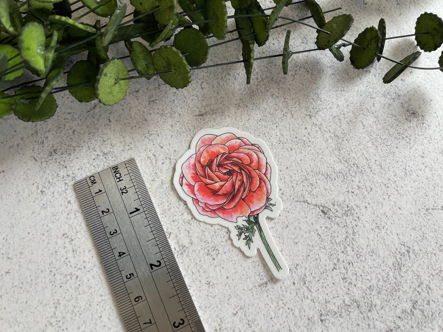 Ranunculus Vinyl Sticker