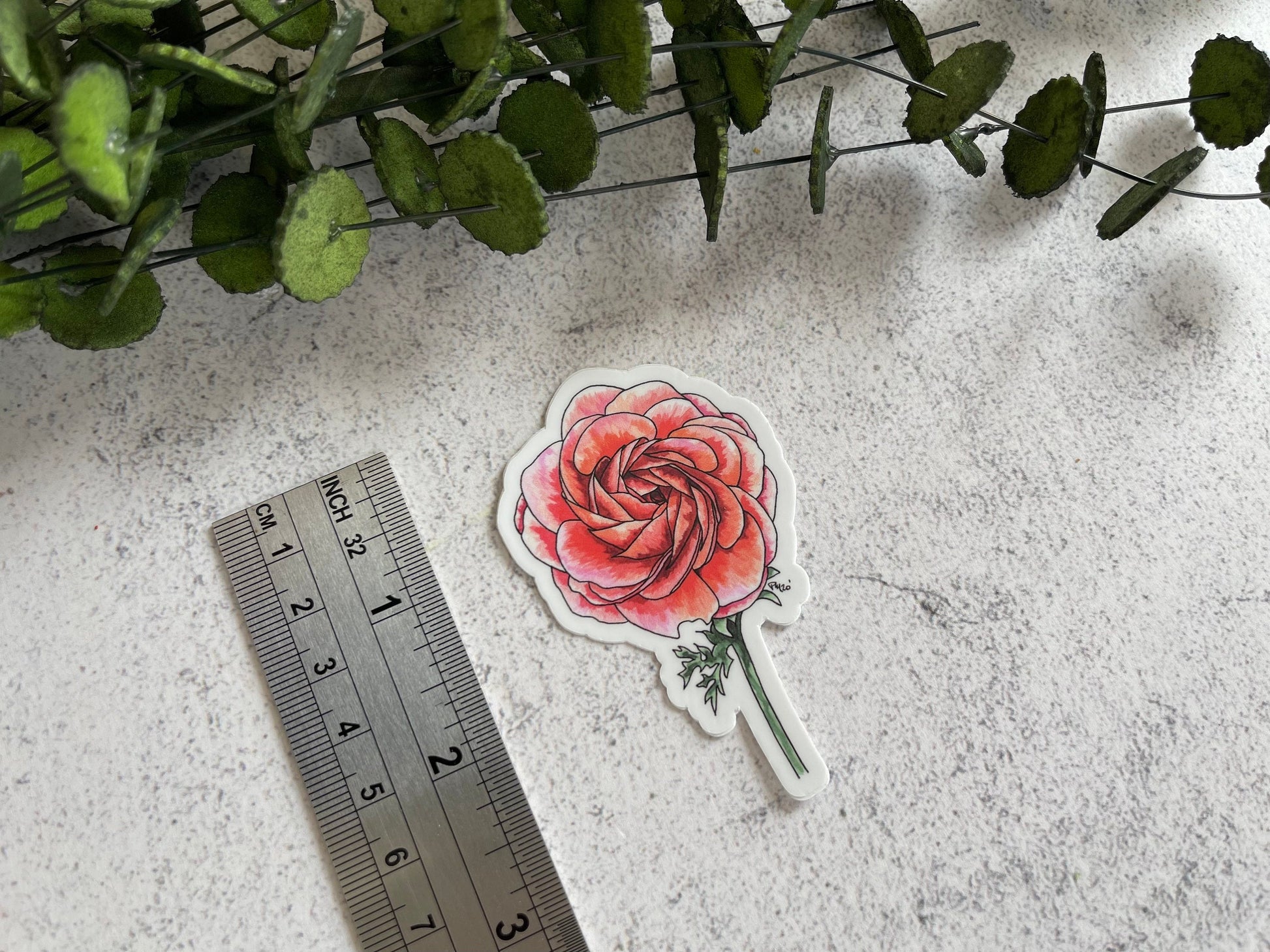Ranunculus Vinyl Sticker