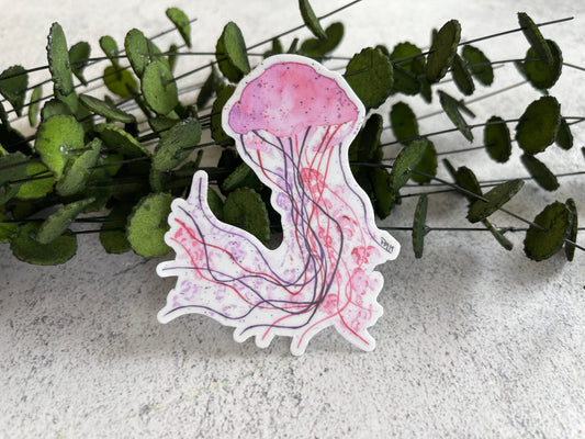 Jellyfish Vinyl Sticker Set