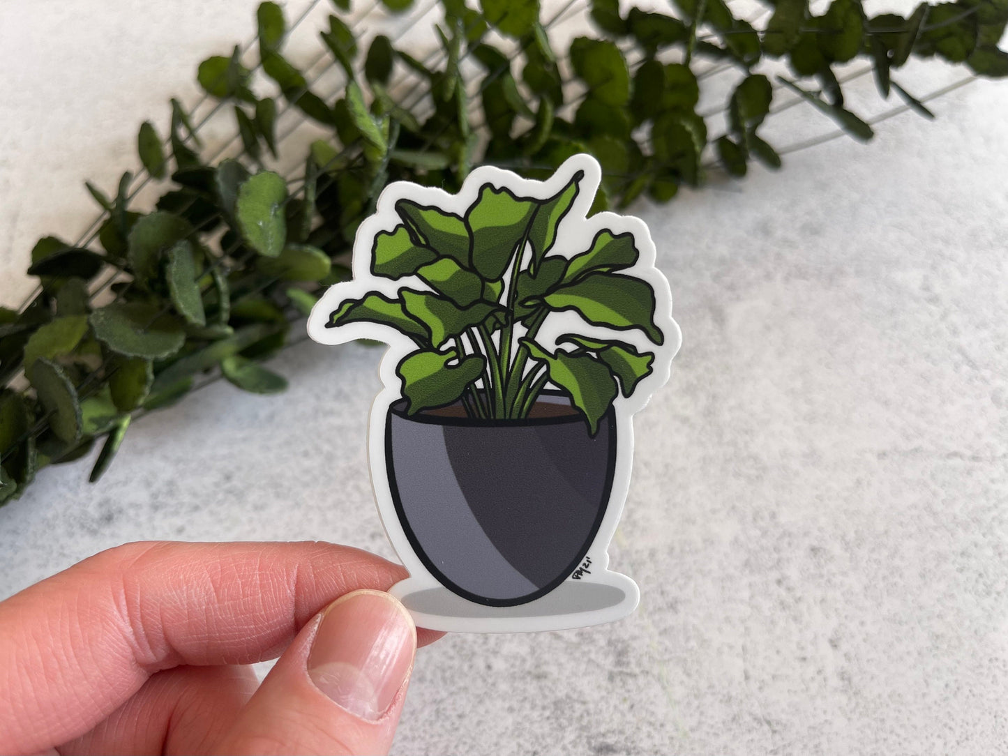 Pothos House Plant Vinyl Sticker