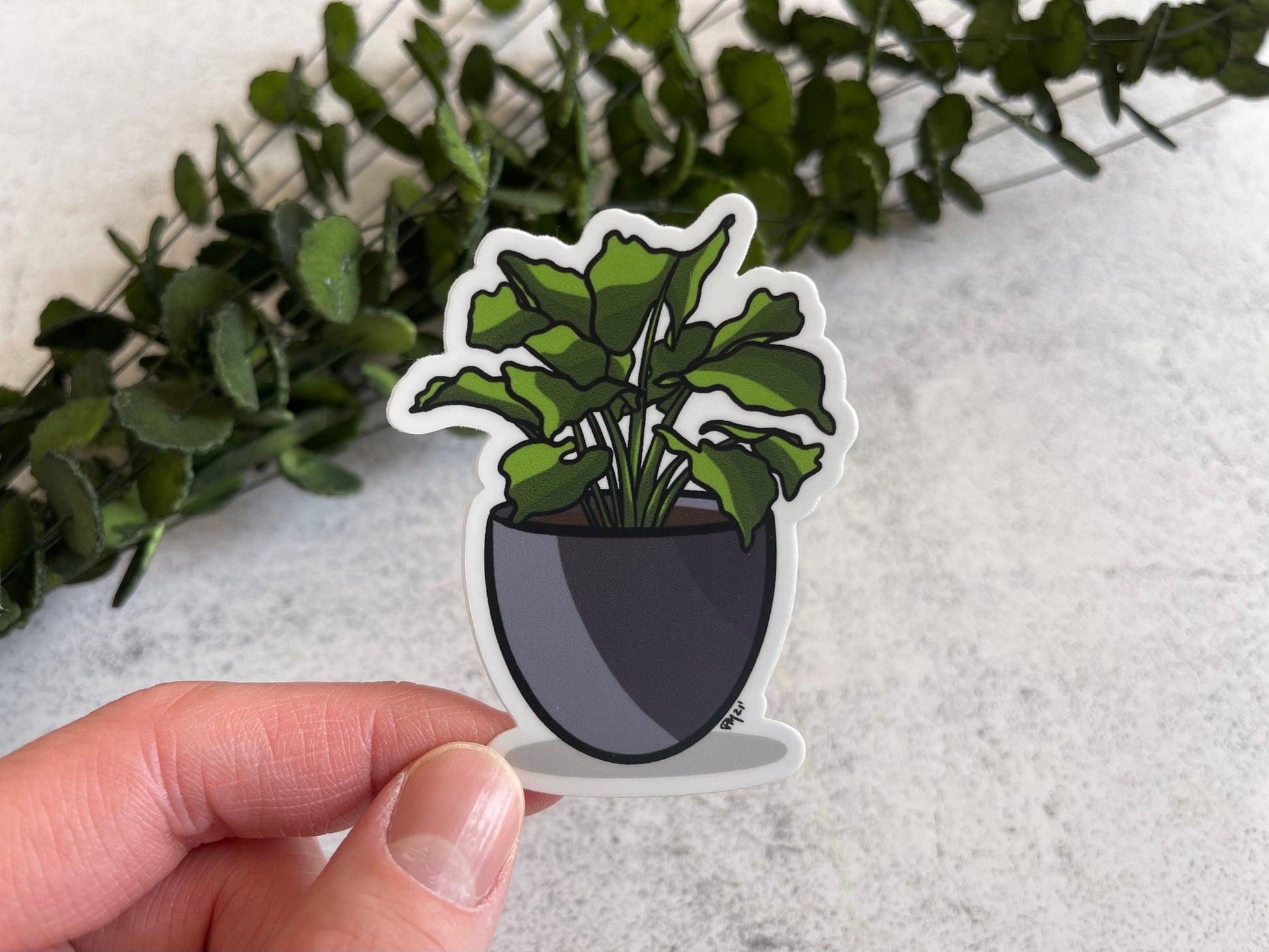 Pothos House Plant Vinyl Sticker