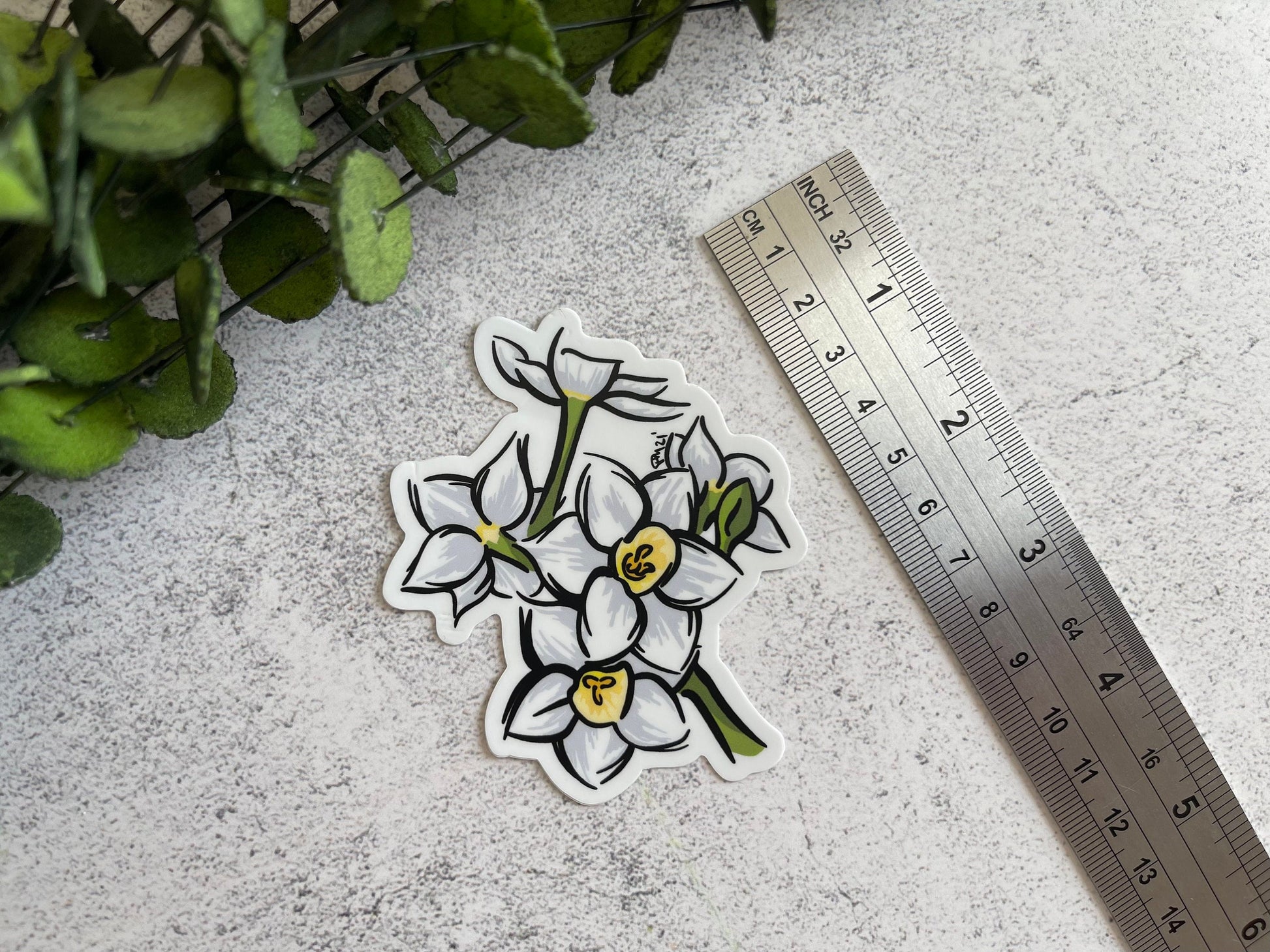 Paperwhites Vinyl Sticker