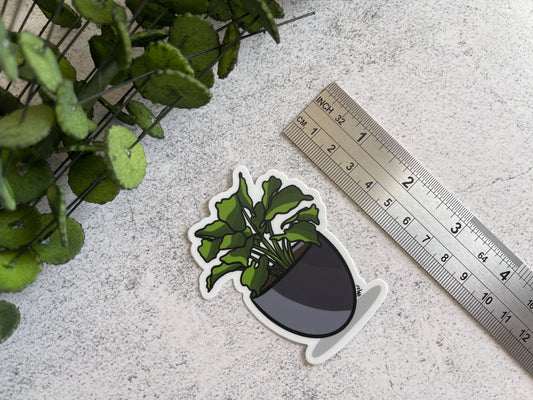 Pothos House Plant Vinyl Sticker