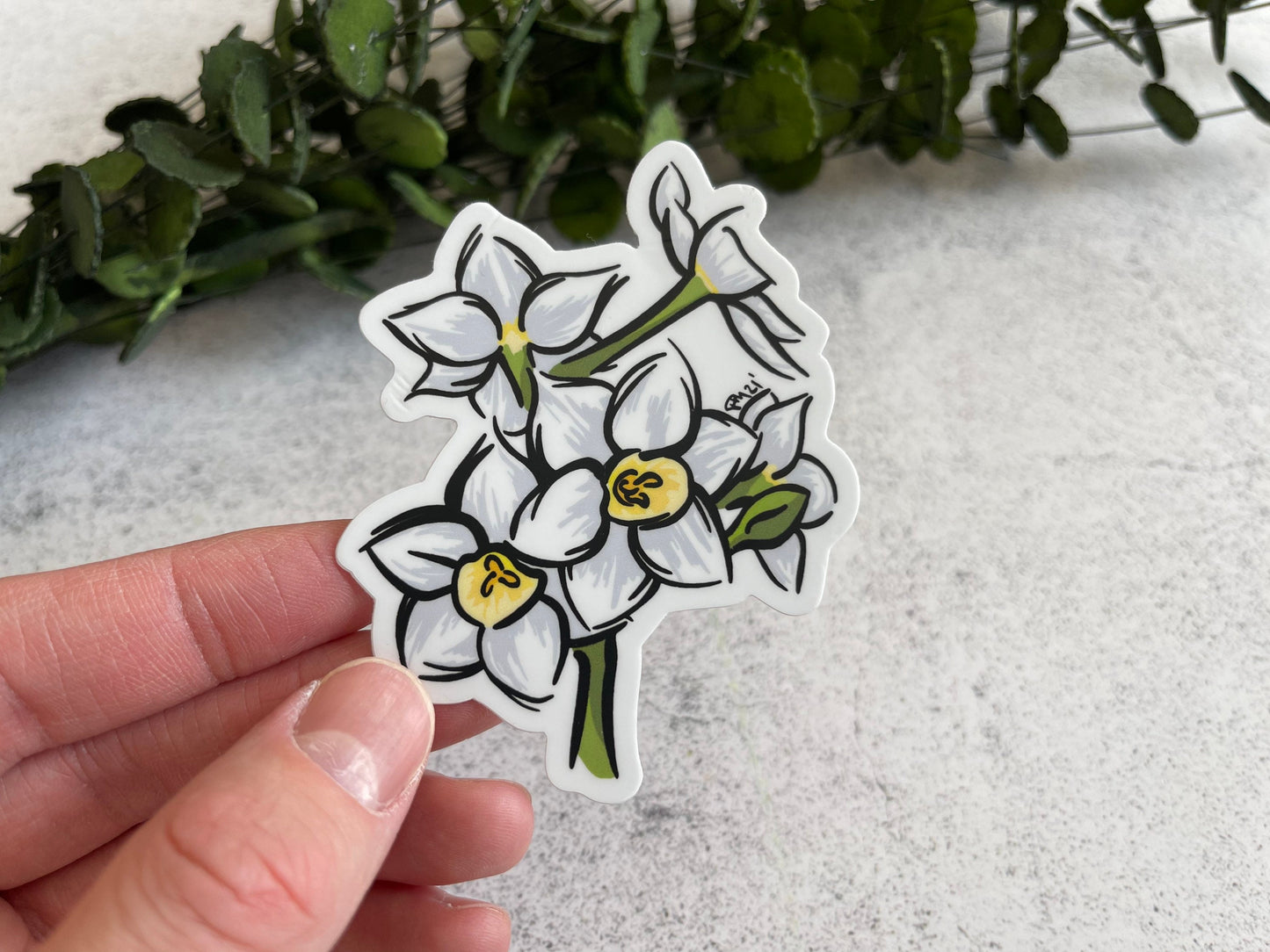 Paperwhites Vinyl Sticker