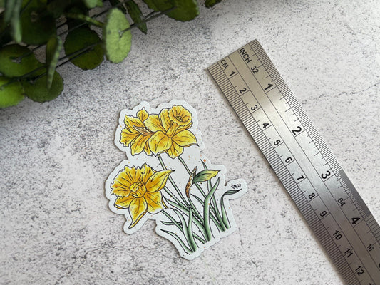 Daffodil Magnet