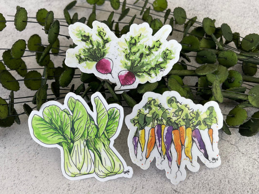 Watercolor Carrot, Bok Choy, and Radish Magnets