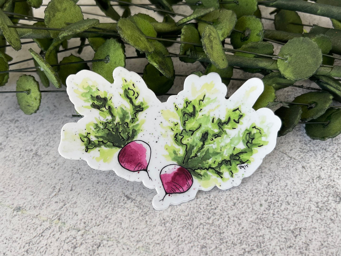 Carroy, Bok Choy, and Radish Vinyl Sticker Set