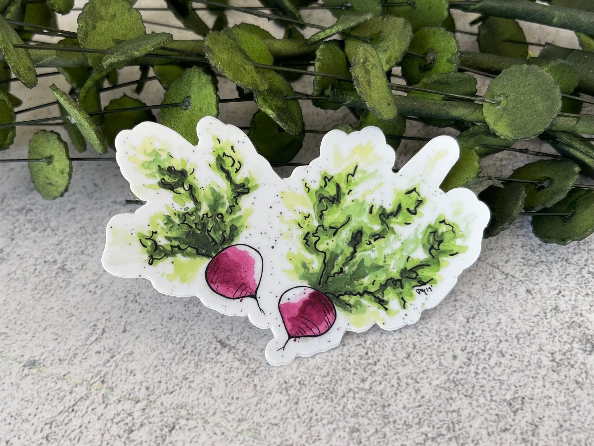 Carroy, Bok Choy, and Radish Vinyl Sticker Set