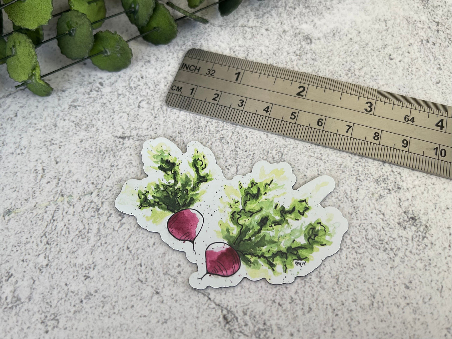 Watercolor Radish Magnet