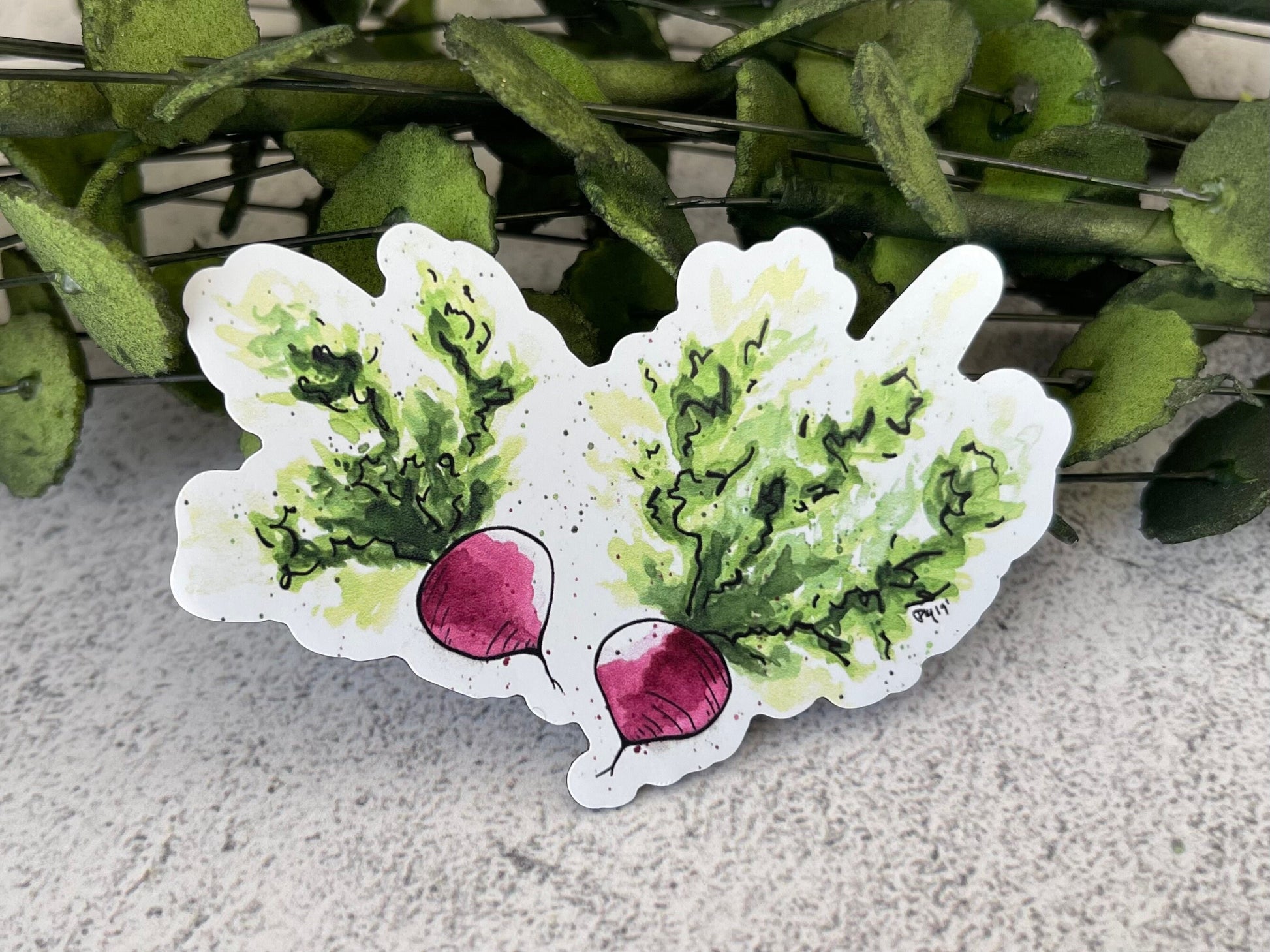 Watercolor Radish Magnet