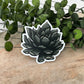 Succy Succulent Sticker Set