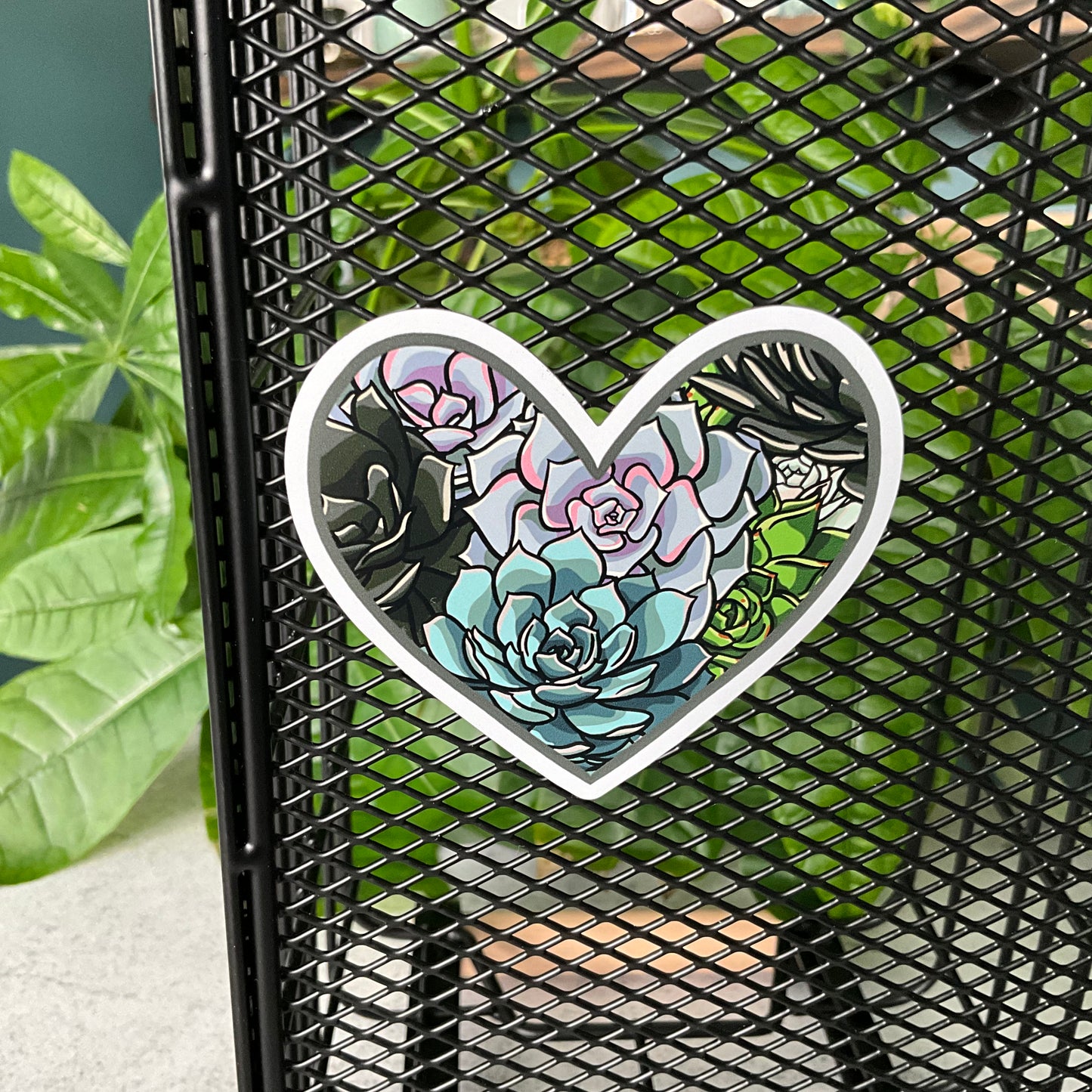 Succy Succulent Magnet Set