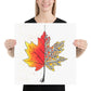 Geometric Maple Leaf Watercolor Print