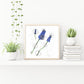Muscari Watercolor Painting